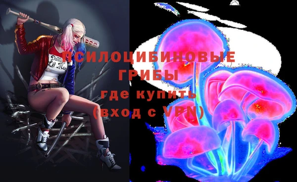 мяу мяу мука Алзамай