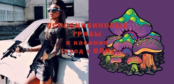 МДМА Алексеевка